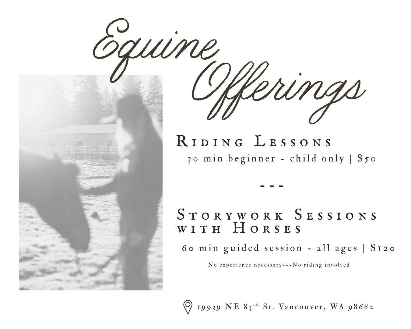 Equine storywork session with horses focused on emotional healing and nervous system regulation. storywork coach storywork sessions trauma-informed coaching equine therapy equine storywork horse-guided healing women’s retreats healing retreats nervous syst