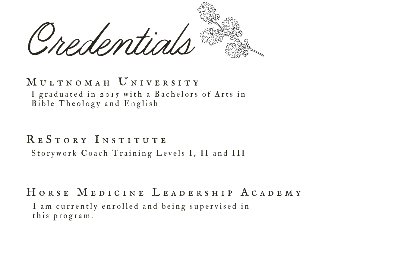 storywork coach storywork sessions trauma-informed coaching equine therapy equine storywork horse-guided healing women’s retreats healing retreats nervous system healing inner child healing embodied healing experiential healing outdoor therapy sessions nat
